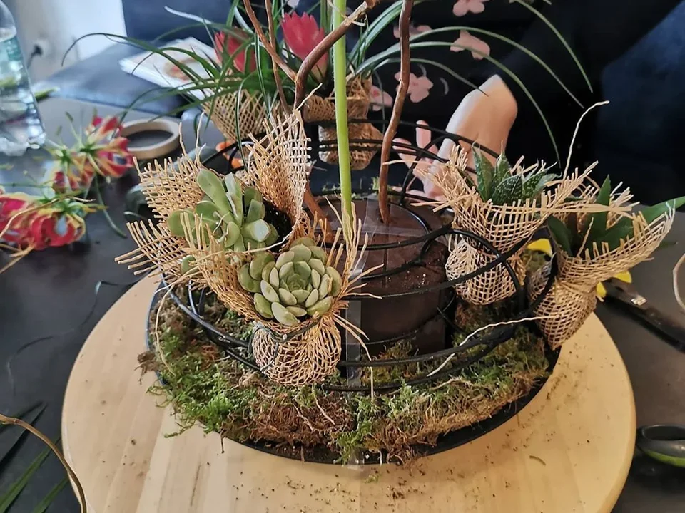 Natural woven and succulent sculpture